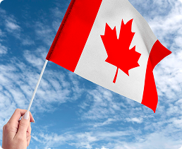 Cultural Orientation